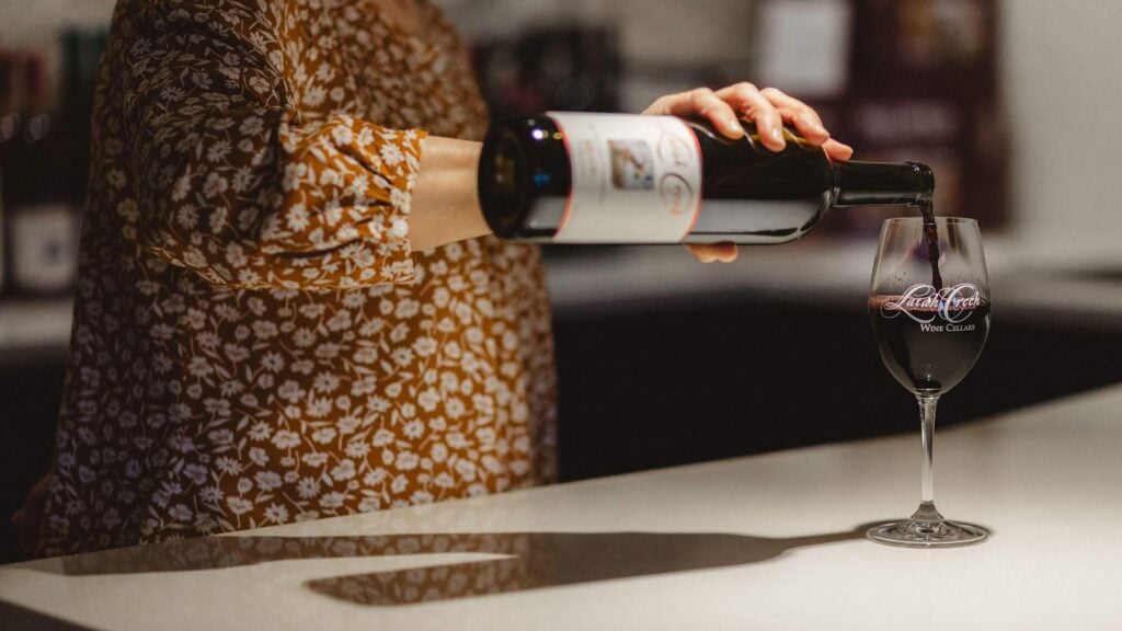 Beginner’s Guide to Wine Tasting