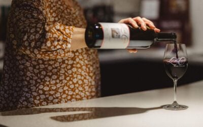 Beginner’s Guide to Wine Tasting