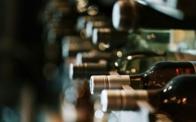 Why Aged Wines Taste Different than Young Wines