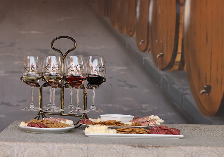 charcuterie food plate and wine tasting